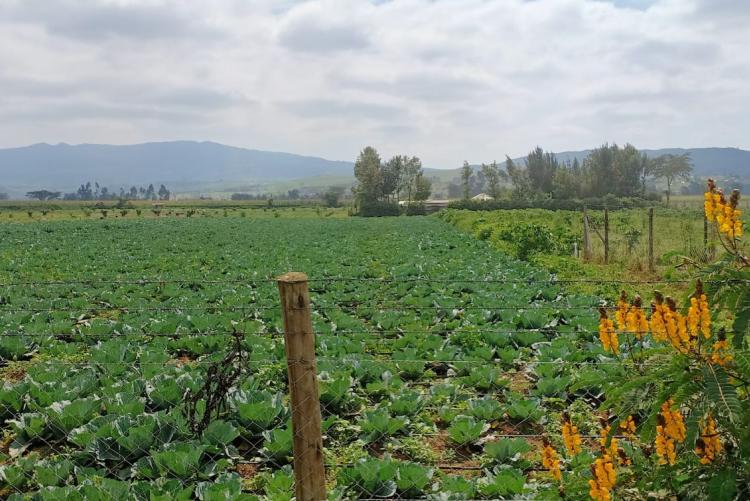 Naivasha Sub County Studio 