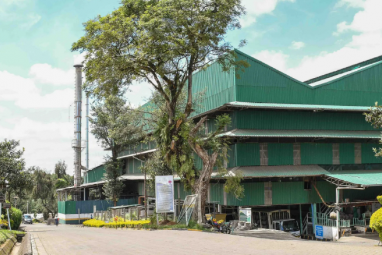 KIMUNYE TEA FACTORY WITHIN KABARE LOCATION