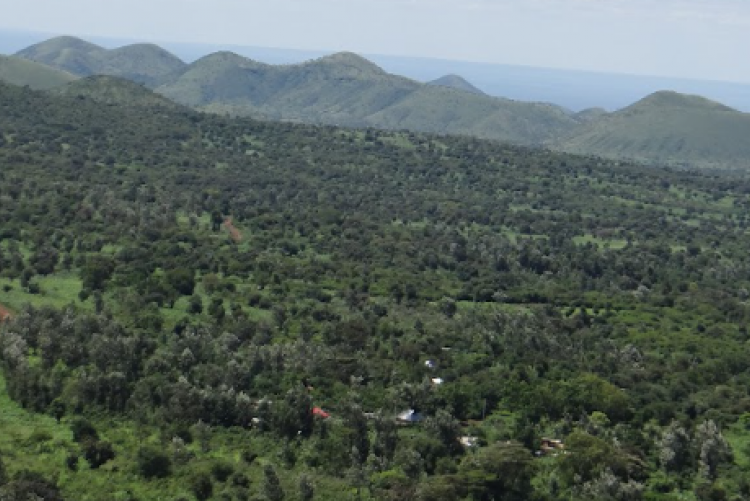 Igembe North