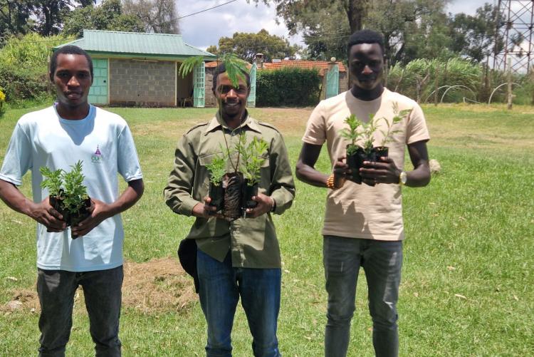 Tree planting  in Ngong Vet Farm