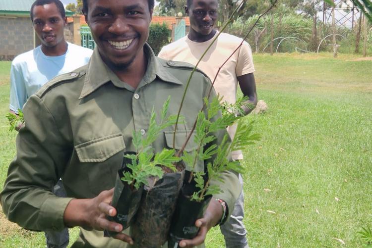 Tree planting  in Ngong Vet Farm