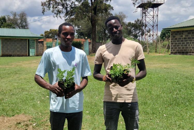 Tree planting  in Ngong Vet Farm