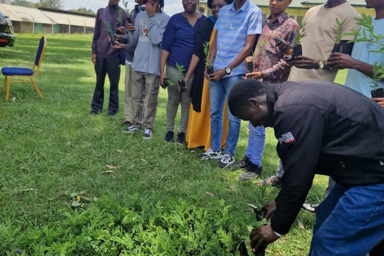 Tree planting  in Ngong Vet Farm