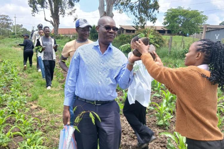 Tree planting  in Ngong Vet Farm
