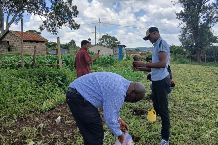 Tree planting  in Ngong Vet Farm