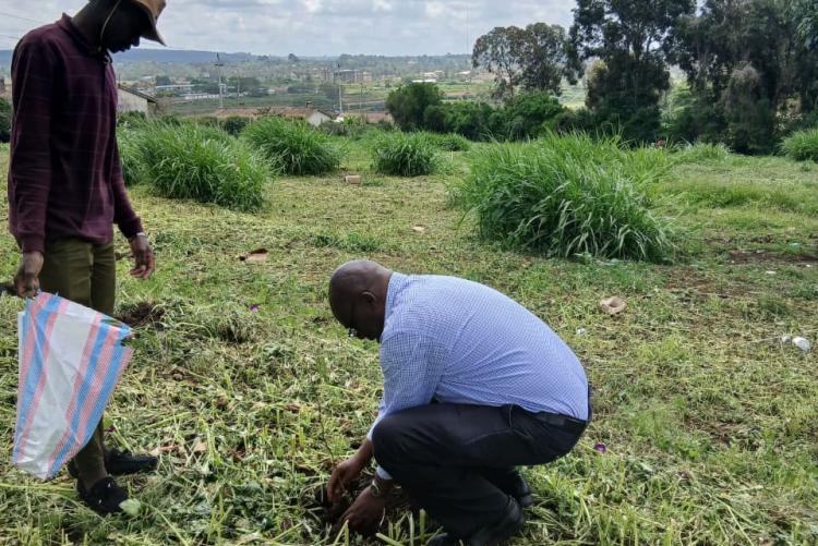 Tree planting  in Ngong Vet Farm