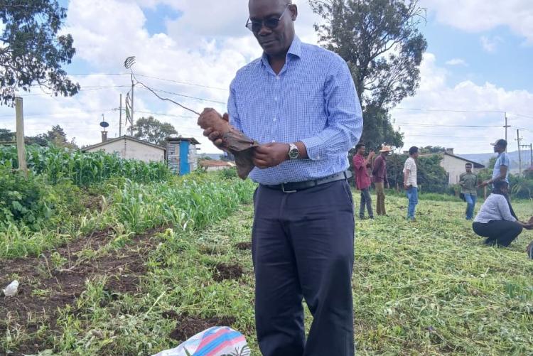 Tree planting  in Ngong Vet Farm