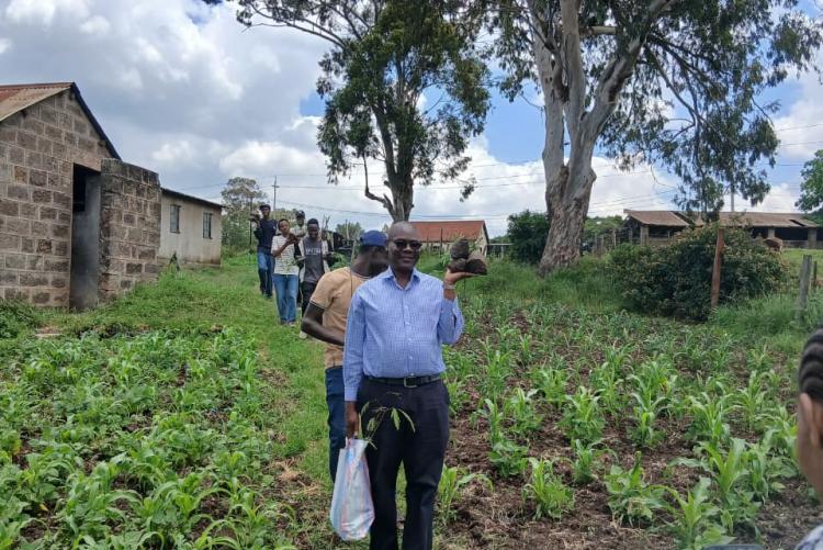 Tree planting  in Ngong Vet Farm