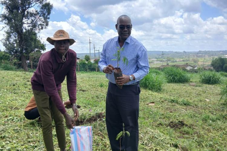 Tree planting  in Ngong Vet Farm
