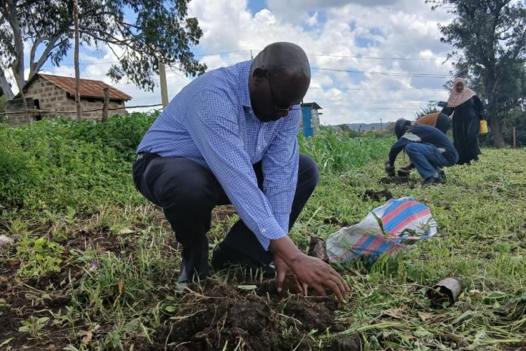 Dr. Oyugi, Chairman DURP tree planting
