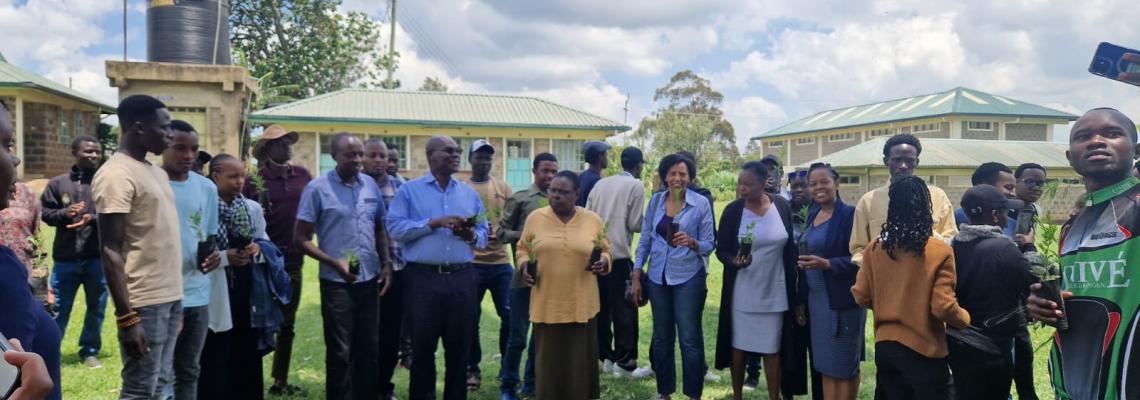 TREE PLANTING  SESSION