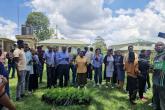 Ngong Tree Planning Session 